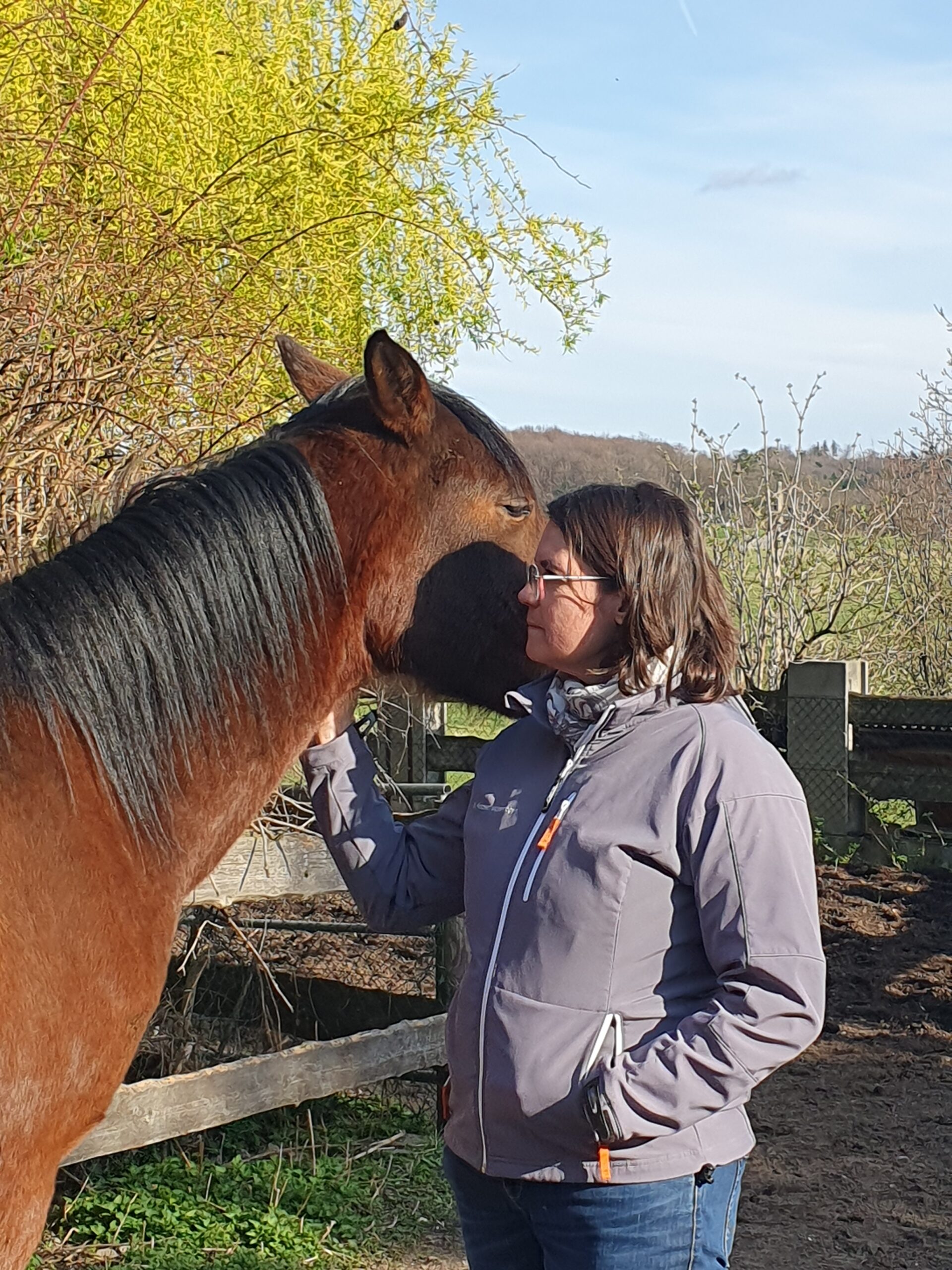 Craniosacrale Balance
In Verbindung mit dem Pferd